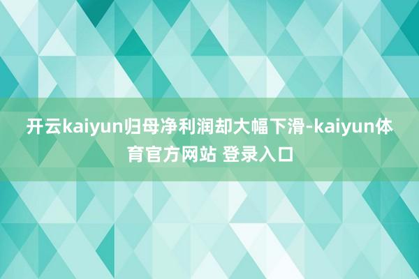 开云kaiyun归母净利润却大幅下滑-kaiyun体育官方网站 登录入口