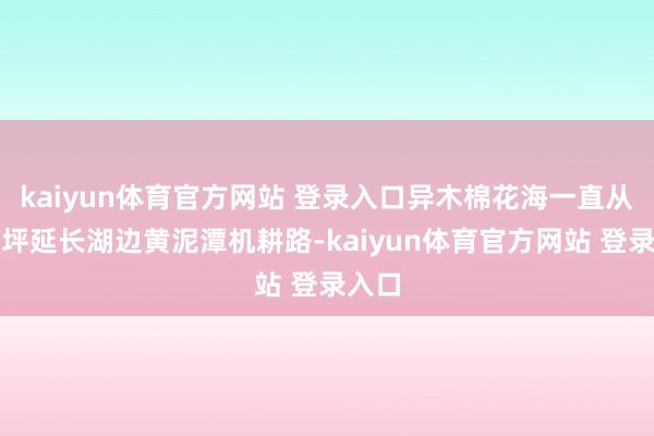 kaiyun体育官方网站 登录入口异木棉花海一直从大草坪延长湖边黄泥潭机耕路-kaiyun体育官方网站 登录入口