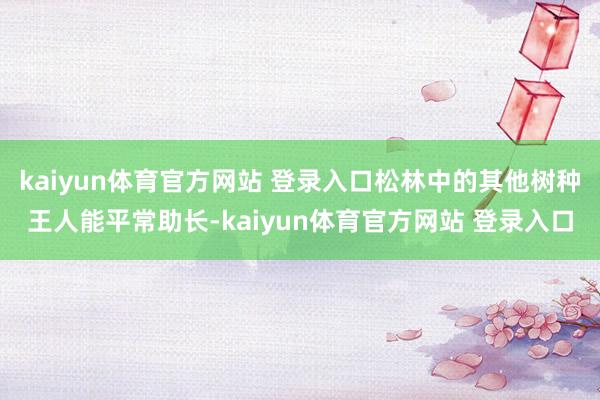 kaiyun体育官方网站 登录入口松林中的其他树种王人能平常助长-kaiyun体育官方网站 登录入口