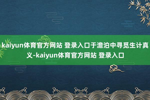 kaiyun体育官方网站 登录入口于澹泊中寻觅生计真义-kaiyun体育官方网站 登录入口