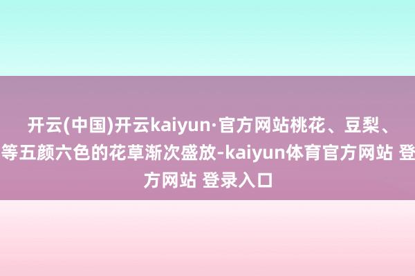 开云(中国)开云kaiyun·官方网站桃花、豆梨、郁金香等五颜六色的花草渐次盛放-kaiyun体育官方网站 登录入口