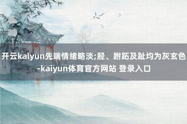 开云kaiyun先端情绪略淡;胫、跗跖及趾均为灰玄色-kaiyun体育官方网站 登录入口