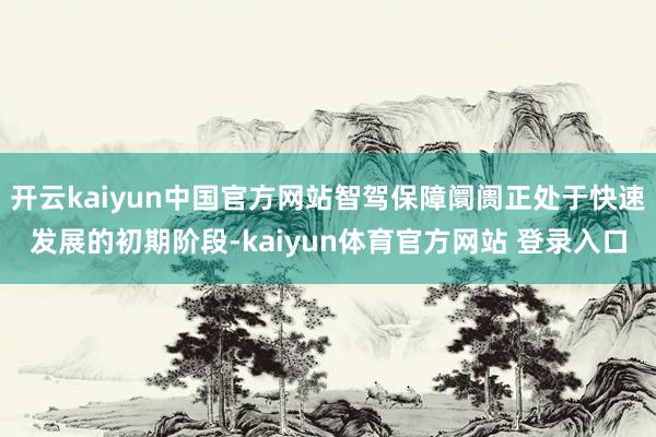 开云kaiyun中国官方网站智驾保障阛阓正处于快速发展的初期阶段-kaiyun体育官方网站 登录入口