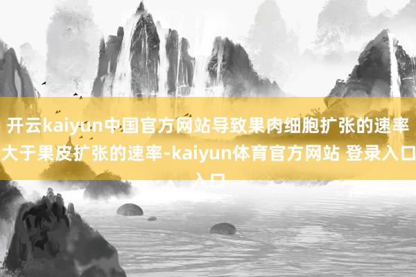 开云kaiyun中国官方网站导致果肉细胞扩张的速率大于果皮扩张的速率-kaiyun体育官方网站 登录入口