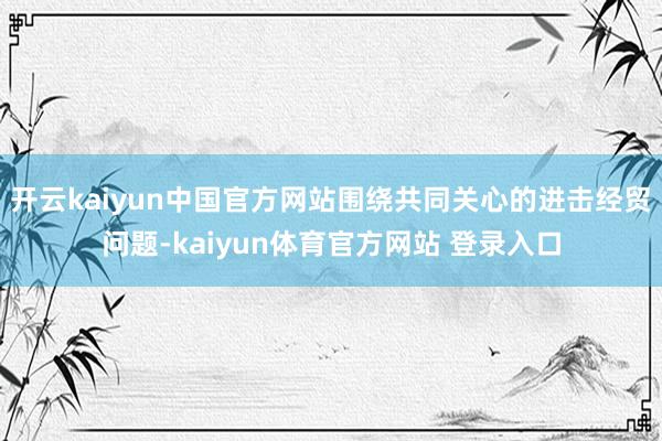 开云kaiyun中国官方网站围绕共同关心的进击经贸问题-kaiyun体育官方网站 登录入口