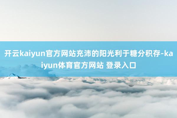 开云kaiyun官方网站充沛的阳光利于糖分积存-kaiyun体育官方网站 登录入口