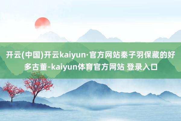 开云(中国)开云kaiyun·官方网站秦子羽保藏的好多古董-kaiyun体育官方网站 登录入口