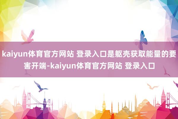 kaiyun体育官方网站 登录入口是躯壳获取能量的要害开端-kaiyun体育官方网站 登录入口
