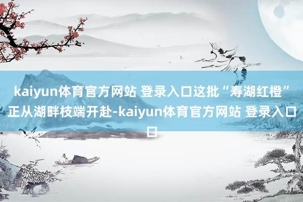 kaiyun体育官方网站 登录入口这批“寿湖红橙”正从湖畔枝端开赴-kaiyun体育官方网站 登录入口