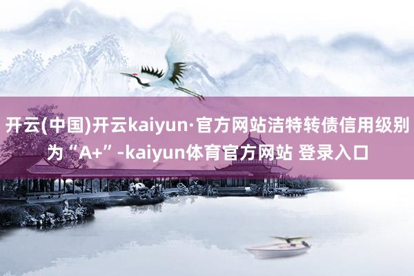 开云(中国)开云kaiyun·官方网站洁特转债信用级别为“A+”-kaiyun体育官方网站 登录入口