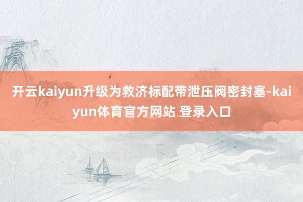 开云kaiyun升级为救济标配带泄压阀密封塞-kaiyun体育官方网站 登录入口