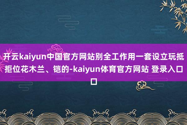 开云kaiyun中国官方网站别全工作用一套设立玩抵拒位花木兰、铠的-kaiyun体育官方网站 登录入口